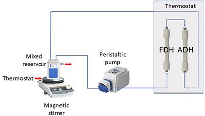 Recombinant Enzymatic Redox Systems for Preparation of Aroma Compounds by Biotransformation